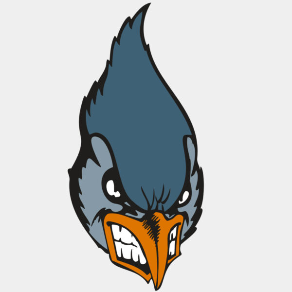 BAW BLUEJAY 01 RC Thumbnail