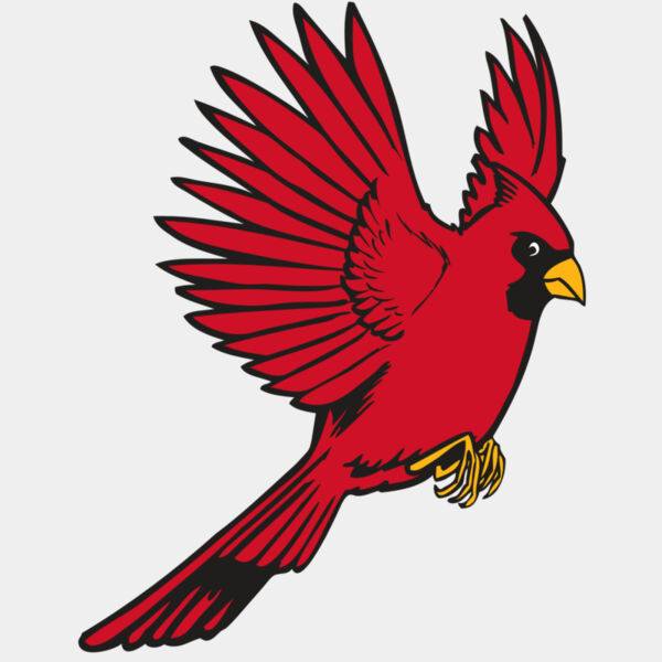 BAW CARDINAL 19 RC Thumbnail