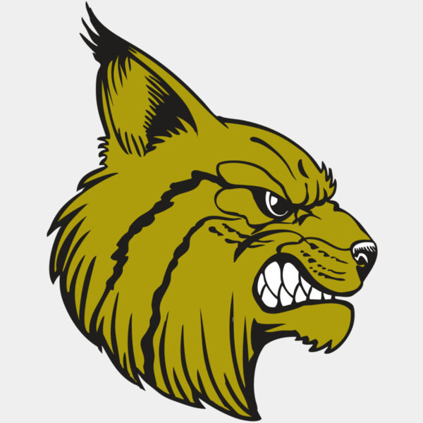 BAW BOBCAT 16 RC Thumbnail