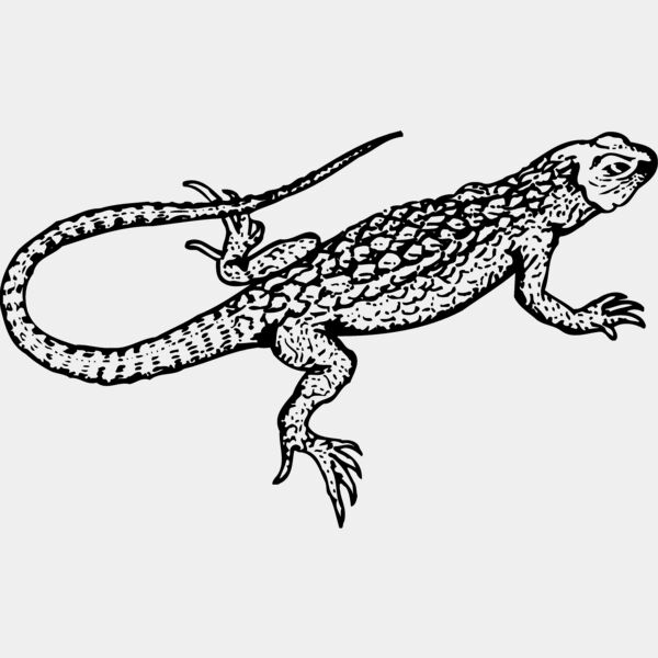 LIZARD01 Thumbnail