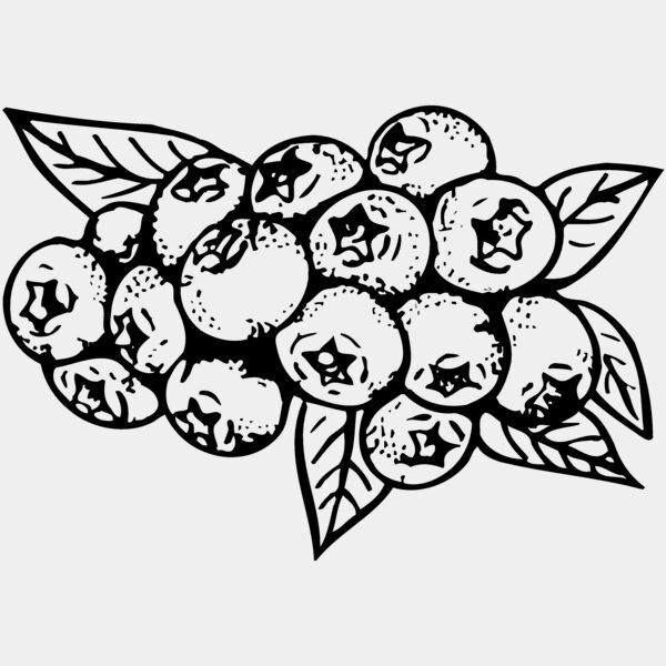 FRUIT037 Thumbnail