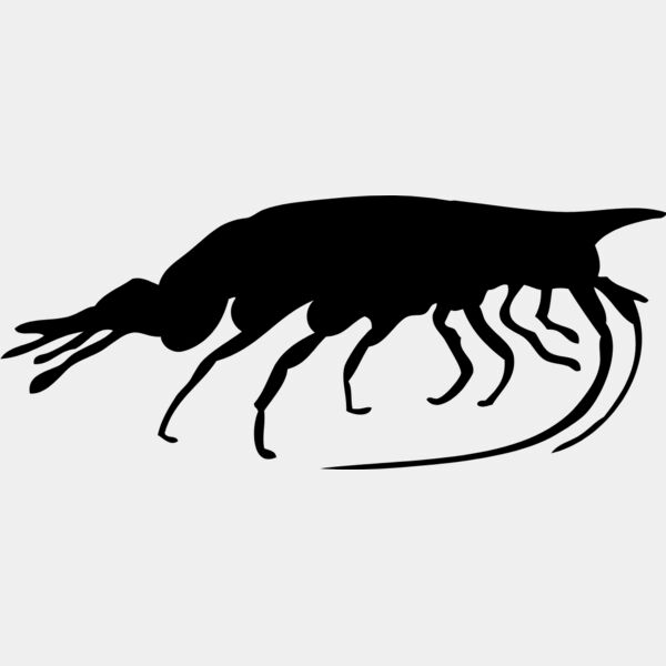 Shrimp Silhouette 3 Thumbnail