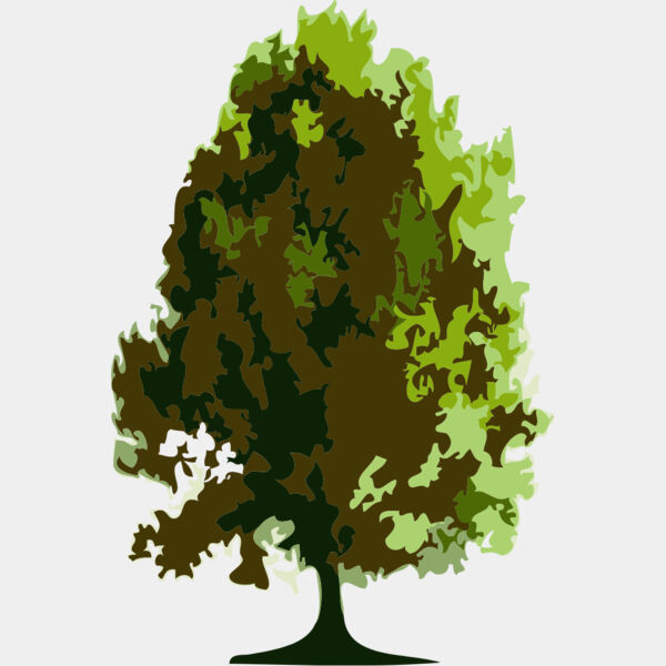 Tree 23 Thumbnail