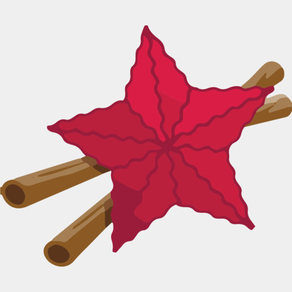 Christmas Star Cinnamon 1 Thumbnail